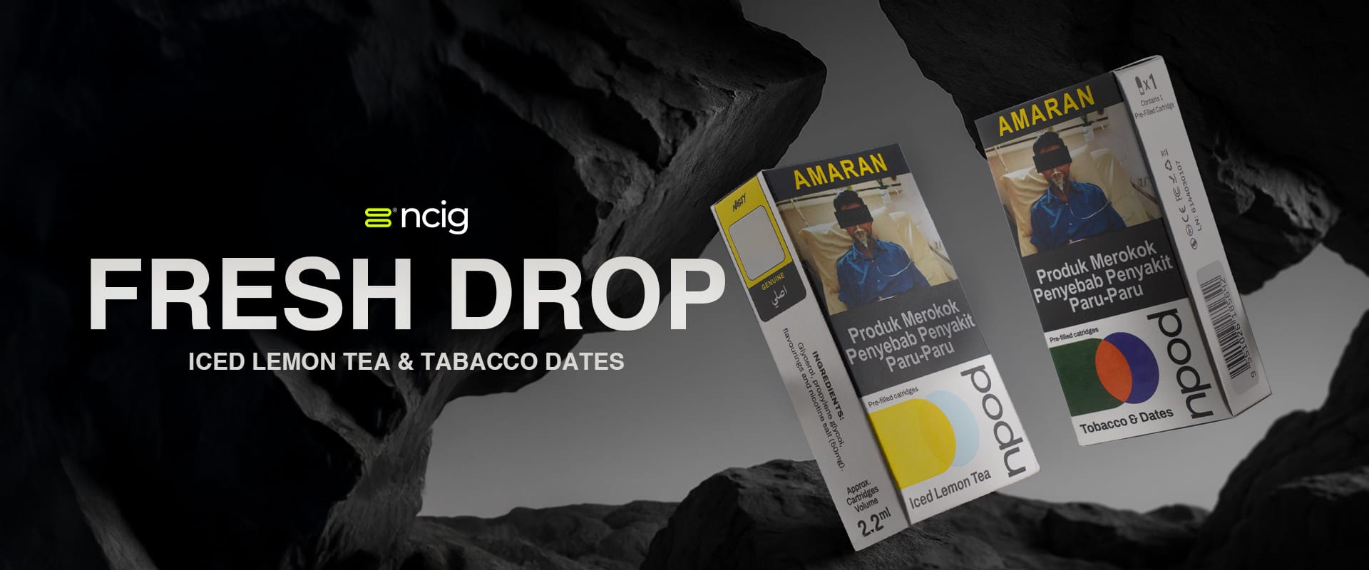 NCIG BANNER NPOD